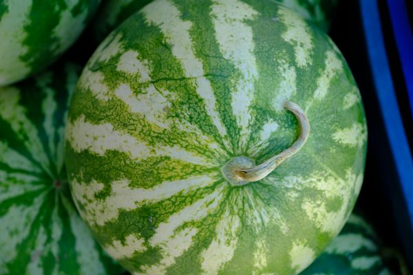 Fresh Juicy Watermelon – Sweet, Seeded & Farm Fresh - Image 3