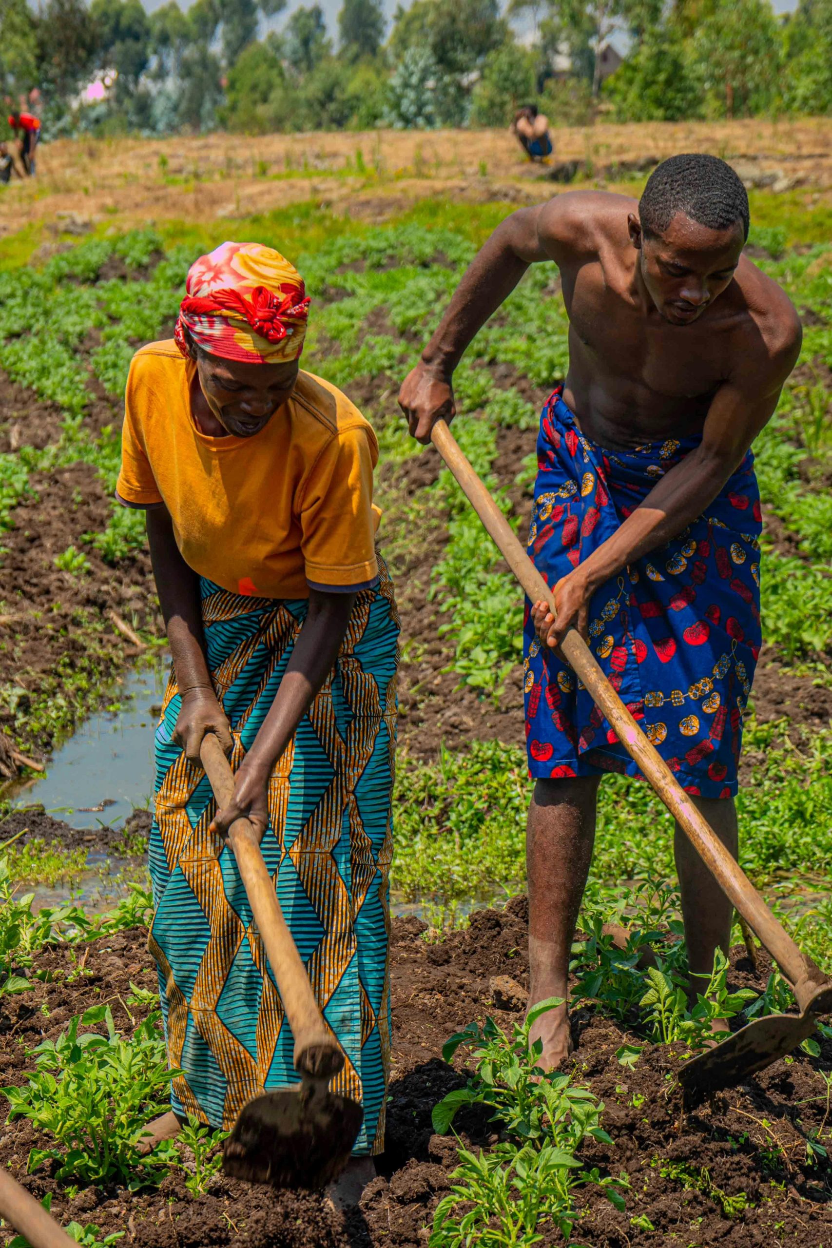 EWAYES 25: Ghana Empowers Women and Youth to Drive Agribusiness Growth.