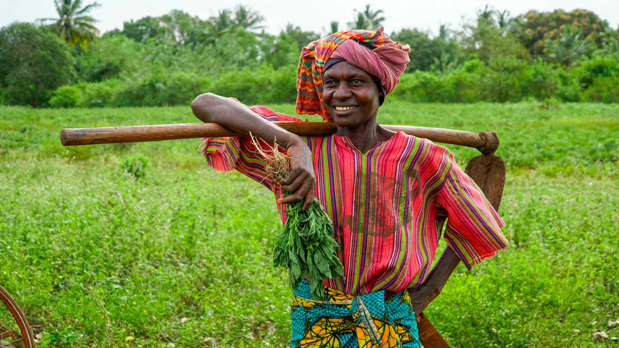 Empowering Women Farmers: Key to Food Security and Climate Resilience in Sub-Saharan Africa.