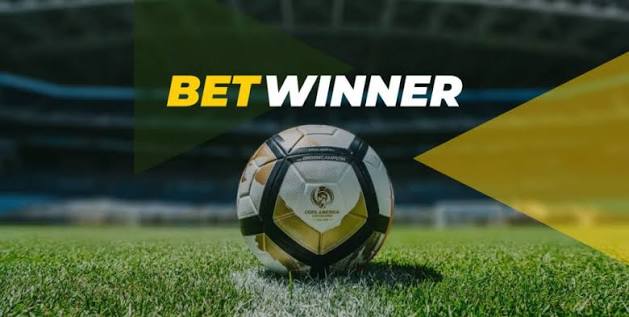 Explore BetWinner The Ultimate Online Gambling Platform